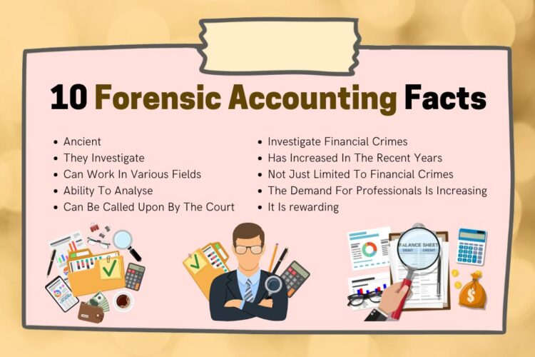 What Is Forensic Accounting? The 10 Facts - My Business Planet