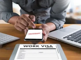 Work Visa Options